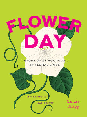 cover image of Flower Day